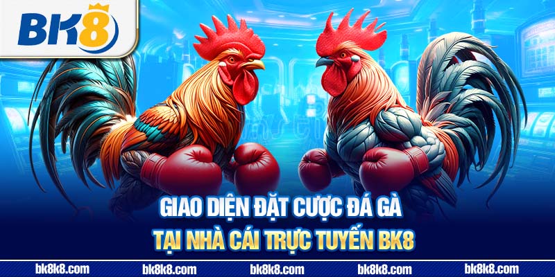Giao diện đặt cược đá gà tại nhà cái trực tuyến BK8