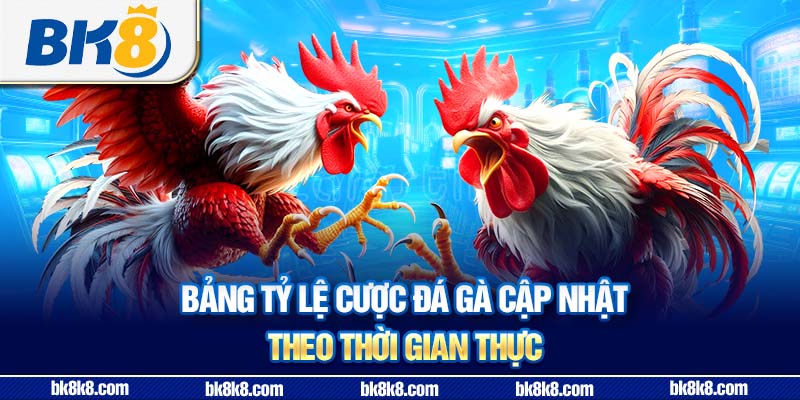 Bảng tỷ lệ cá cược đá gà cập nhật theo thời gian thực