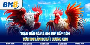 Trận đấu đá gà online hấp dẫn với hình ảnh chất lượng cao
