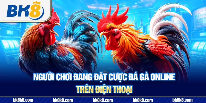 Người chơi đang đặt cược đá gà online trên điện thoại